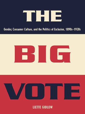 cover image of The Big Vote